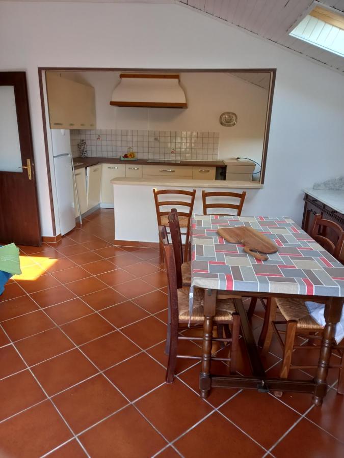Apartments Miri Zambratija  Extérieur photo